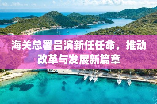 海關(guān)總署呂濱新任任命，推動改革與發(fā)展新篇章