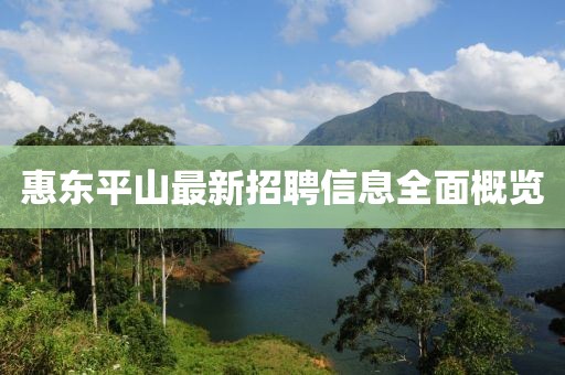 惠東平山最新招聘信息全面概覽