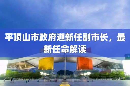 平頂山市政府迎新任副市長，最新任命解讀