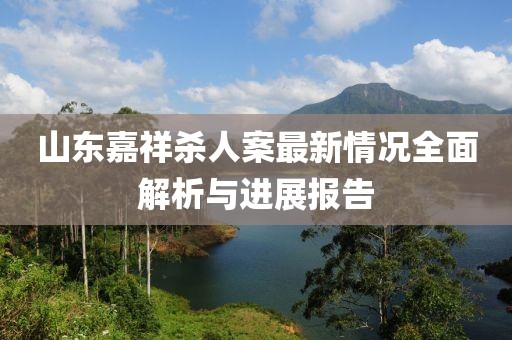 山東嘉祥殺人案最新情況全面解析與進(jìn)展報告