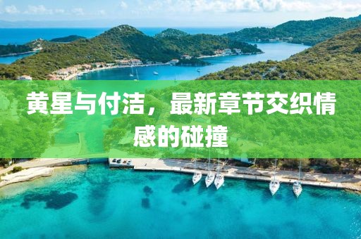 黃星與付潔，最新章節(jié)交織情感的碰撞