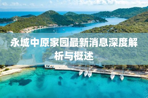 永城中原家園最新消息深度解析與概述