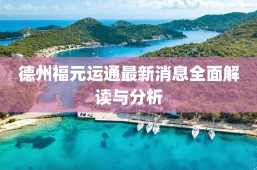 德州福元運(yùn)通最新消息全面解讀與分析