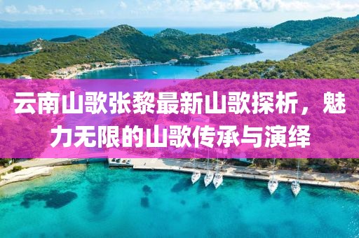 云南山歌張黎最新山歌探析，魅力無限的山歌傳承與演繹