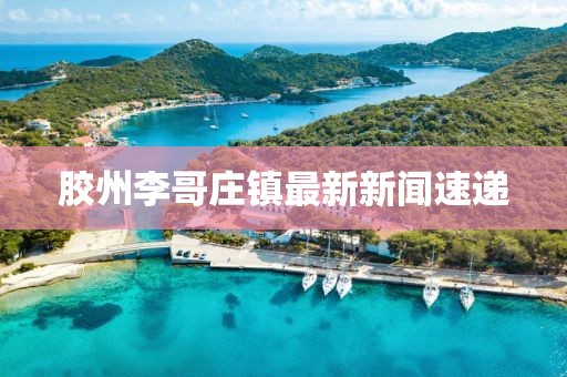 膠州李哥莊鎮(zhèn)最新新聞速遞