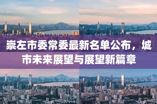 崇左市委常委最新名單公布，城市未來(lái)展望與展望新篇章