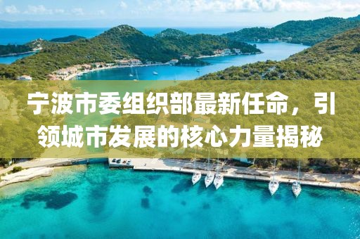 寧波市委組織部最新任命，引領(lǐng)城市發(fā)展的核心力量揭秘