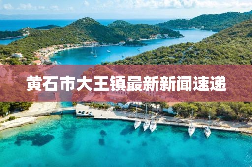 黃石市大王鎮(zhèn)最新新聞速遞