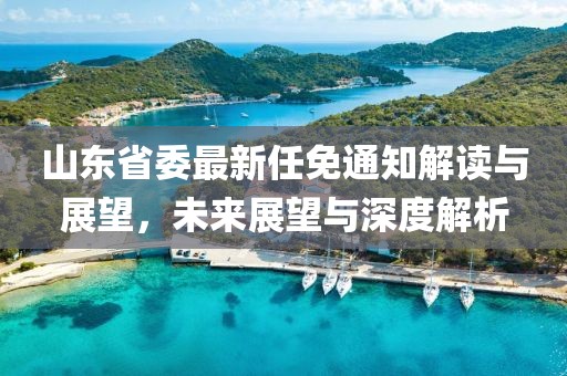 山東省委最新任免通知解讀與展望，未來展望與深度解析