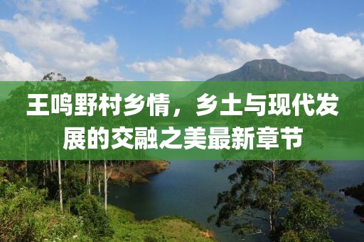 王鳴野村鄉(xiāng)情，鄉(xiāng)土與現(xiàn)代發(fā)展的交融之美最新章節(jié)