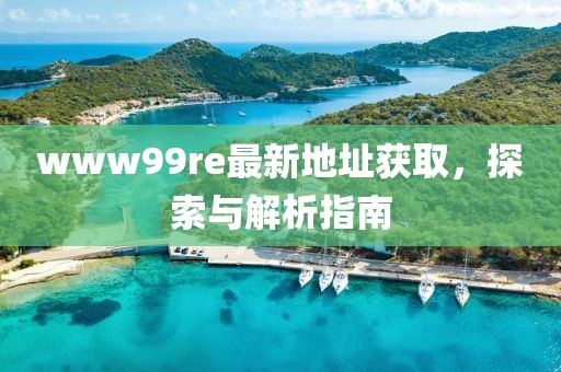 www99re最新地址獲取，探索與解析指南