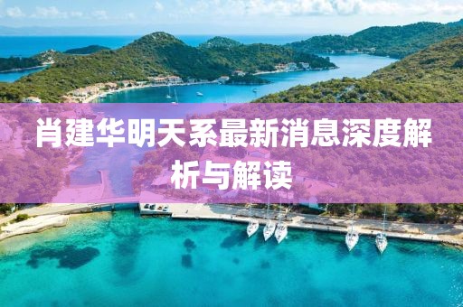 肖建華明天系最新消息深度解析與解讀