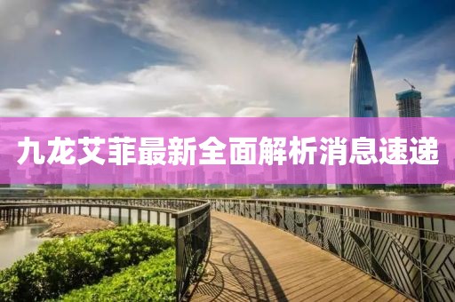 九龍艾菲最新全面解析消息速遞