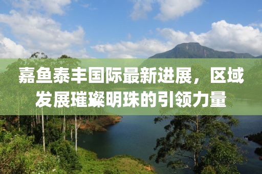 嘉魚(yú)泰豐國(guó)際最新進(jìn)展，區(qū)域發(fā)展璀璨明珠的引領(lǐng)力量