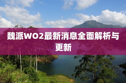 魏派WO2最新消息全面解析與更新