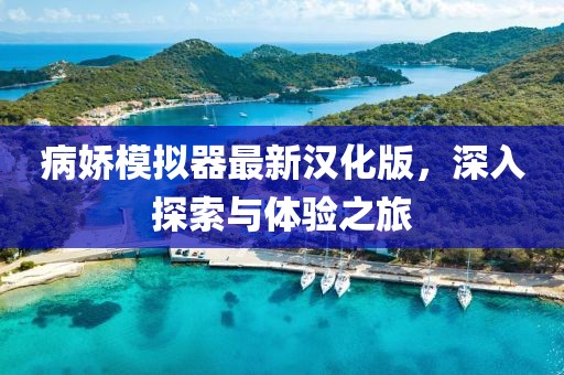 病嬌模擬器最新漢化版，深入探索與體驗(yàn)之旅