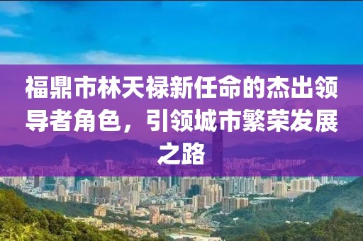 福鼎市林天祿新任命的杰出領導者角色，引領城市繁榮發(fā)展之路