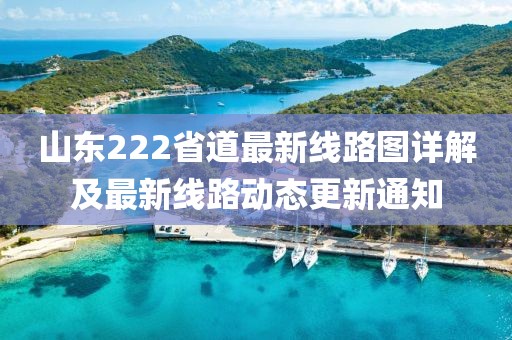 山東222省道最新線路圖詳解及最新線路動(dòng)態(tài)更新通知