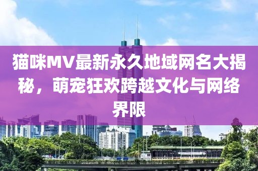 貓咪MV最新永久地域網(wǎng)名大揭秘，萌寵狂歡跨越文化與網(wǎng)絡(luò)界限