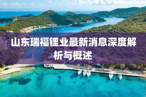 山東瑞福鋰業(yè)最新消息深度解析與概述