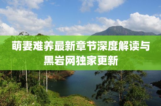 萌妻難養(yǎng)最新章節(jié)深度解讀與黑巖網(wǎng)獨(dú)家更新