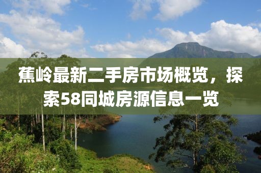 蕉嶺最新二手房市場概覽，探索58同城房源信息一覽