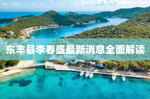 東豐縣李春盛最新消息全面解讀