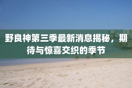 野良神第三季最新消息揭秘，期待與驚喜交織的季節(jié)