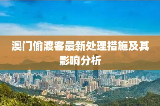 澳門偷渡客最新處理措施及其影響分析