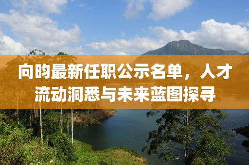 向昀最新任職公示名單，人才流動洞悉與未來藍圖探尋