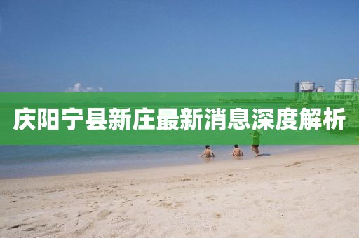 慶陽寧縣新莊最新消息深度解析