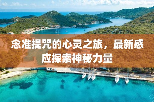 念準(zhǔn)提咒的心靈之旅，最新感應(yīng)探索神秘力量