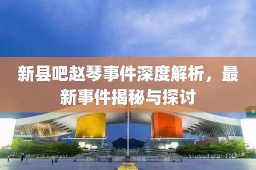 新縣吧趙琴事件深度解析，最新事件揭秘與探討