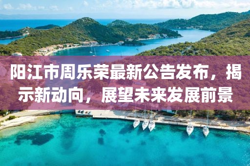 陽江市周樂榮最新公告發(fā)布，揭示新動向，展望未來發(fā)展前景