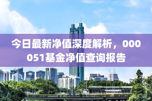 今日最新凈值深度解析，000051基金凈值查詢報(bào)告