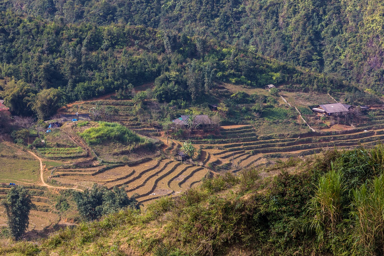 符離鎮(zhèn)最新規(guī)劃圖揭曉，展望繁榮未來，符離鎮(zhèn)2016規(guī)劃展望