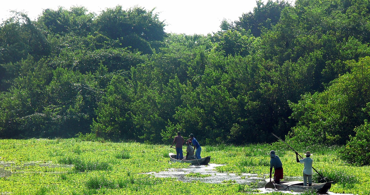 羅田森林公園最新動態(tài)更新