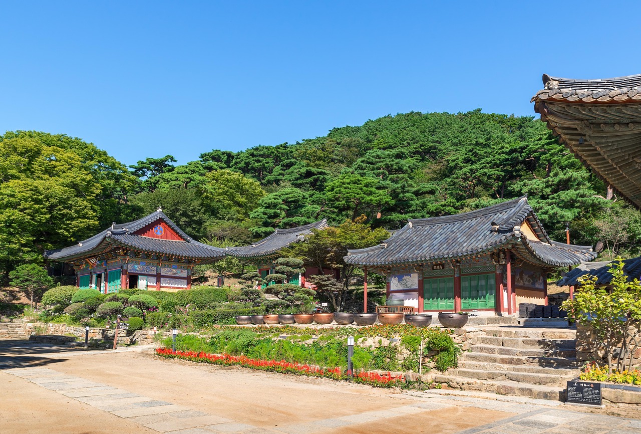 廣饒四季花城，繁榮盛景與未來(lái)期待揭秘